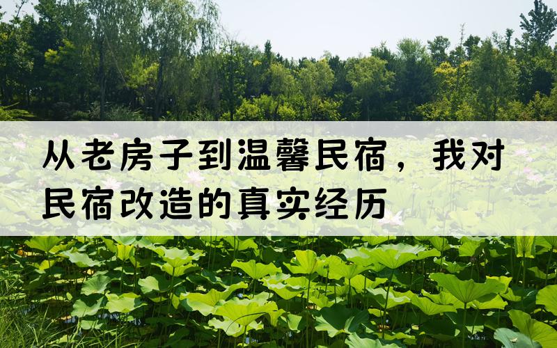 从老房子到温馨民宿，我对民宿改造的真实经历