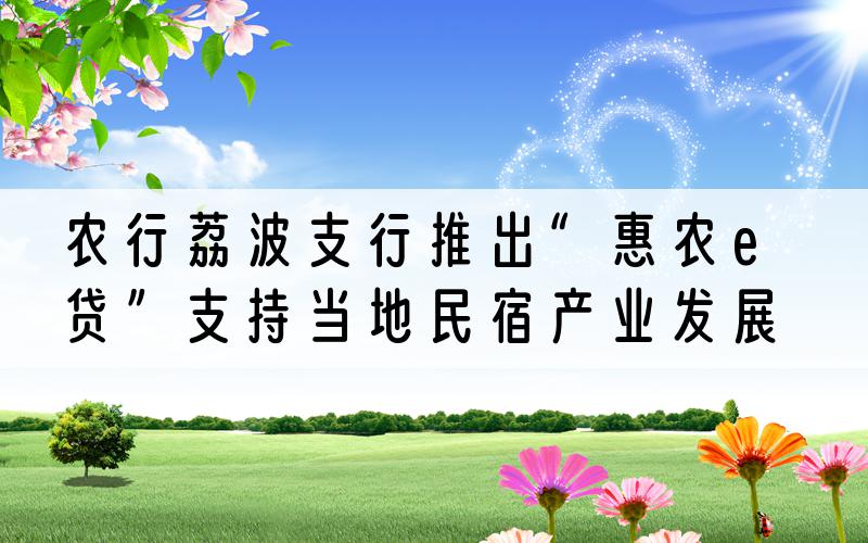 农行荔波支行推出“惠农e贷”支持当地民宿产业发展