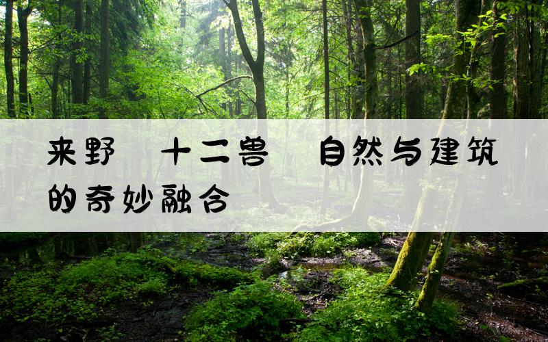 来野·十二兽：自然与建筑的奇妙融合