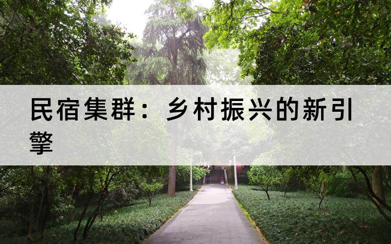 民宿集群：乡村振兴的新引擎