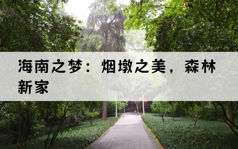 海南之梦：烟墩之美，森林新家