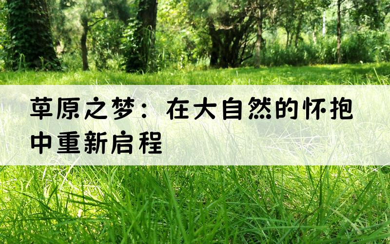 草原之梦：在大自然的怀抱中重新启程