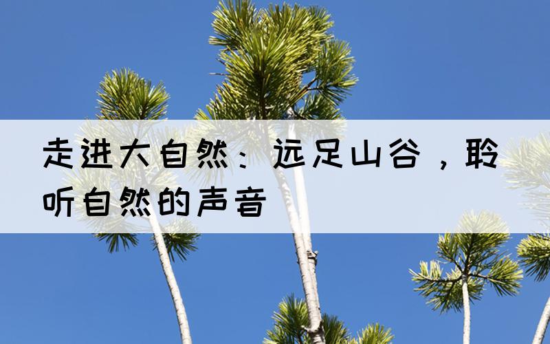 走进大自然：远足山谷，聆听自然的声音