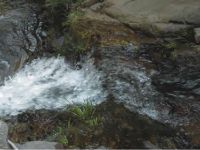 安吉山溪风情农家