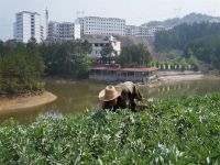 两坪乡朝元度假村农家乐