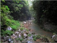 仙女山茶园山庄农家乐