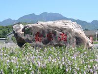 郭家沟回园居农家院