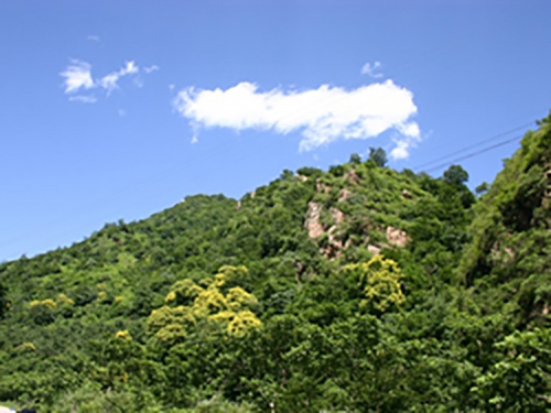 蓟县水岸颐家农家院