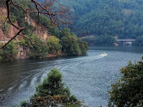 桐庐芦茨雅悦民宿