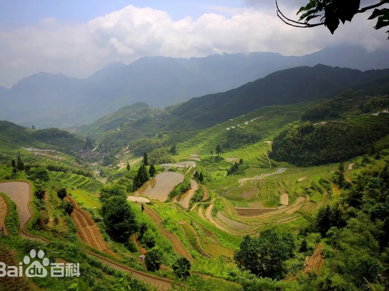 云和梯田景区农家（九曲云环景区内店）