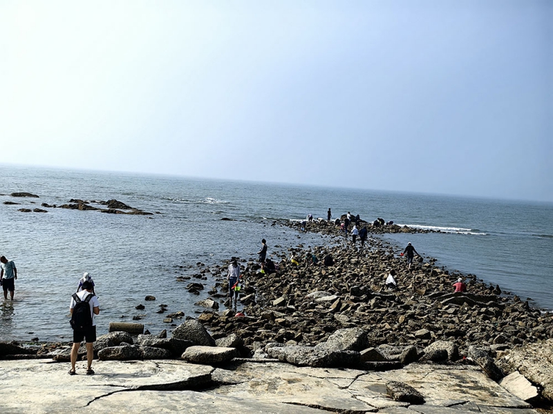 观海听涛海景房-小芳农家院