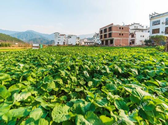 婺源篁岭驿旅阳光民宿