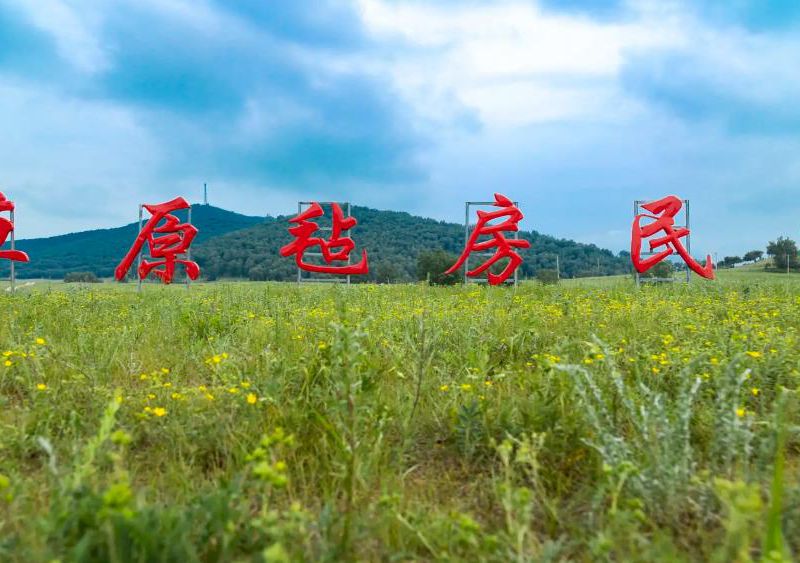 乌兰布统草原苍狼毡房民宿-