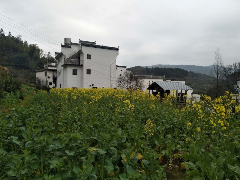 婺源江岭花海人家客栈